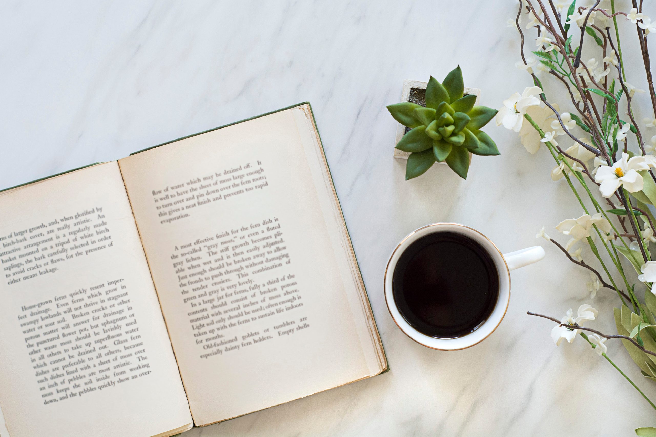 Open book with a cup of coffee and decorative plants