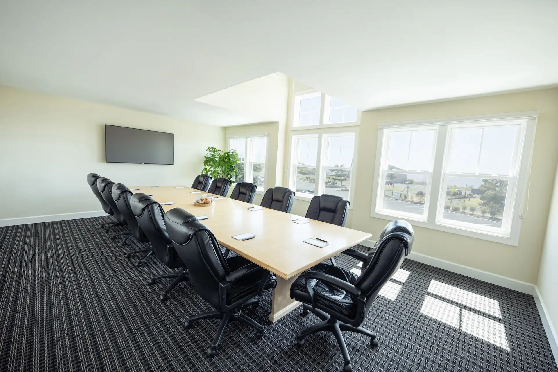 Bright conference room with large table, black chairs, big windows, and wall-mounted TV screen.